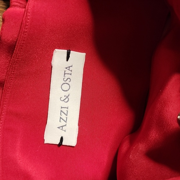 Azzi & Osta Red Wide Straight Leg Pant w/ Ruffle Detail 40 (EU) 4-6 (US) - Picture 4 of 7